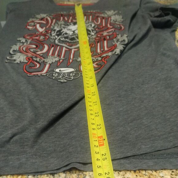 Nike T Shirt LeBron James Lion Special Edition Dri Fit Gray XL - Picture 10 of 10